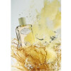 Infusion de Vetiver 2015-پرادا اینفیوژن د وتیور 2015