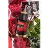Burning Rose-کارولینا هررا برنینگ رز