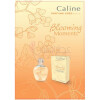 Caline Blooming Moments-گرس کالین بلومینگ مومنتس