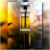 Dior Homme Cologne-دیور هوم کلن 2007