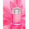 Baiser Vole Lys Rose-کارتیر بایسر ول لیز رز
