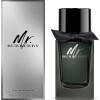 Mr. Burberry EDP-باربری مستر باربری ادو پرفیوم