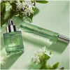 Indian Jasmine Perfume Oil-نست ایندین جاسمین پرفیوم اویل