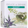 Dolce & Sense Muguet-پاریس الیسیس دولچه اند سنس موگت