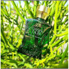 Oasis Oud-حبیبی ان وای اوسیس عود