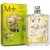Molecule 01 + Ginger-اسنتریک مولکولز مولکول 01+ جینجر