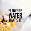 J'adore Parfum d'Eau-دیور جادرو پارفوم دلئو