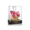 Viva la Juicy Extrait de Parfum-جویسی کوتور ویوا لا جویسی اکسترایت د پارفوم