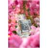 Pour Femme-ارگوس پور فمه