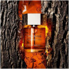 L'Homme Eau de Parfum-ایو سن لورن لهوم ادوپرفیوم