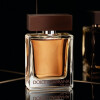 The One for Men EDT-دولچه گابانا دوان ادو تویلت مردانه