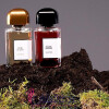 Rouge Smoking-پارفومز بی دی کی پاریس رژ (روژ) اسموکینگ