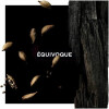 Équivoque-جیونچی ایکوییوک