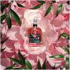 Rose Patchouli-نو رز پچولی