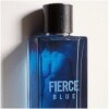 Fierce Blue-آبرکرامبی اند فیچ فیرس بلو