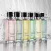 Esprit de Gingembre-آنجل شلیسراسپریت د جینجمبر
