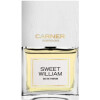 Sweet William-کارنر بارسلونا اسویت ویلیام