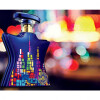 New York Nights-باند شماره 9 نیویورک نایتز