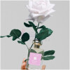 Rose Water & Vanilla Cologne (2023)-جو مالون رز واتر اند وانیلا کلن 2023