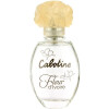 Cabotine Fleur d’Ivoire-گرس کابوتین فلور د ایوار