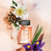 Arizona Proenza Schouler-آریزونا پروینزا شولر