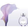 Sheer Beauty Essence-کالوین کلین شیر بیوتی اسنس