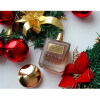 Terryfic Oud L'Eau-تری دو گانزبرگ تریفیک عود لئو