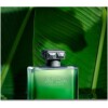Apex Eau Intense-روژا داو اپکس ادو اینتنس