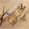 Madagascar Vanilla Perfume Oil-نست ماداگاسکار وانیلا پرفیوم اویل