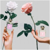 Rose Blush Cologne (2023)-جو مالون رز بلاش کلن 2023