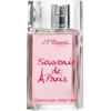 Souvenir De Paris-اس تی دوپونت سوونیر د پاریس