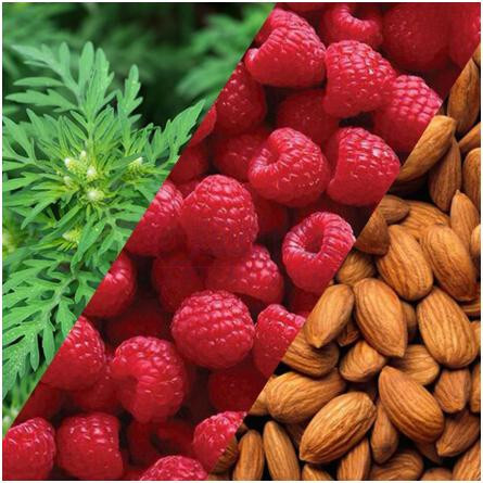 Wonder Woman 80th Anniversary Limited Edition Fragrance-هاوس آف سیلیج واندر وومن 80 انیورساری لیمیتد ادیشن فرگرنس