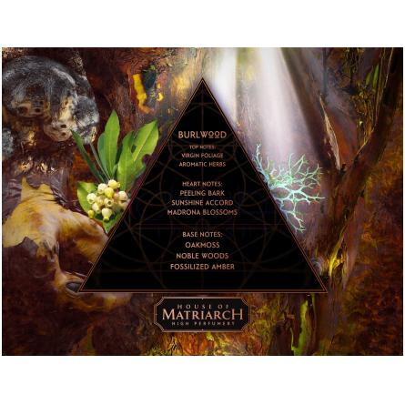 Burlwood-هاوس آف متریارک بورل وود