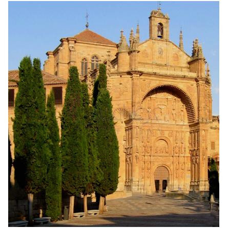 Salamanca-المپیک ارکیدز ارتیسان پرفیومز سالامانکا
