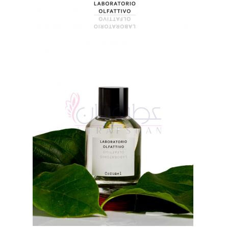 Cozumel-لابوراتوریو الفکتیوو کوزومل