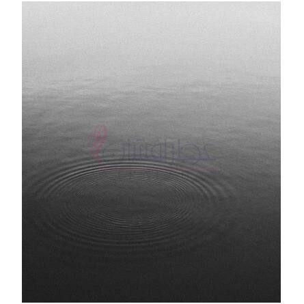 Serenity-پیور سنس سرنیتی