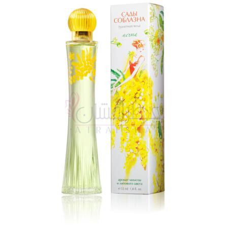 Mechta-بروکارد مچا