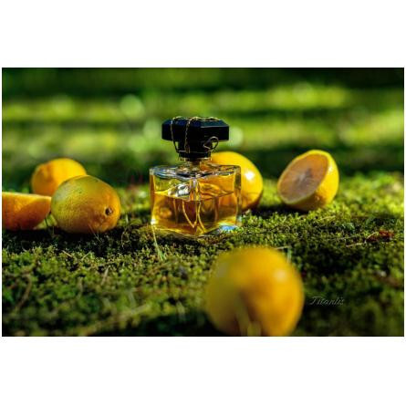 Lux-مونا دی اوریو لوکس