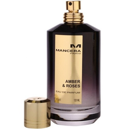 Amber & Roses-مانسرا آمبر اند رزز