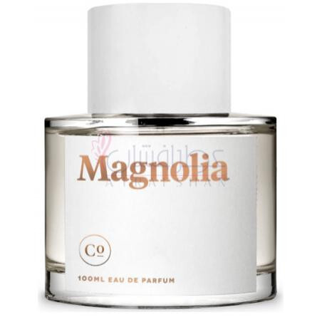 Magnolia-کامودیتی مگنولیا