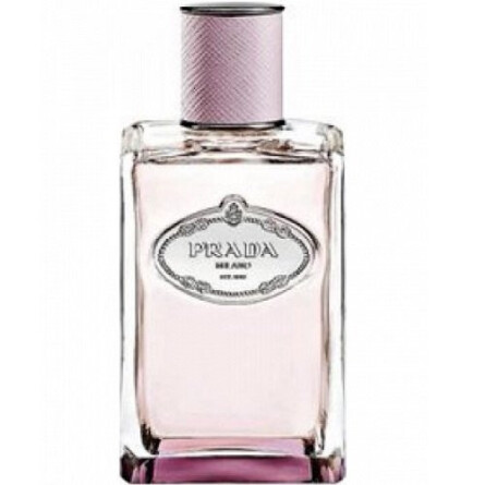 Infusion d'Oeillet-پرادا اینفیوژن د اویلت