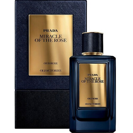 montale forest aoud