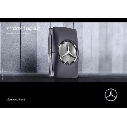 Mercedes Benz Mercedes Benz Man Grey