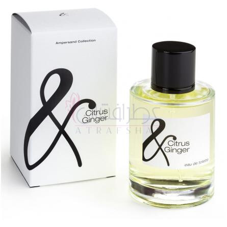 Citrus & Ginger-بچس سیتروس اند جینجر