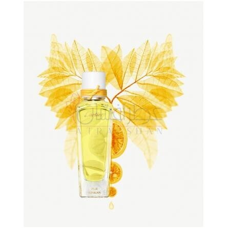 Pur Kinkan-کارتیر پور کینکن