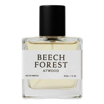 Beech Forest-ات وود بیچ فارست