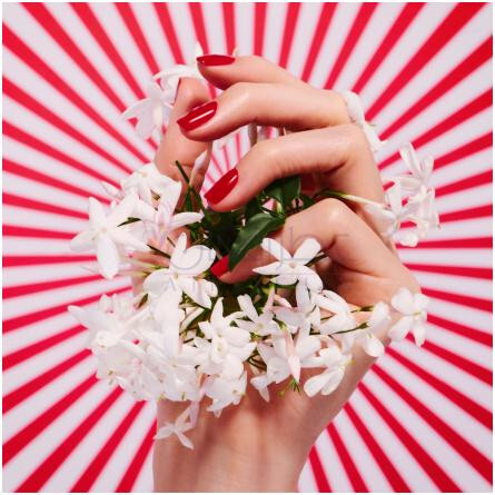 Fairy Love-اسکادا فیری لاو