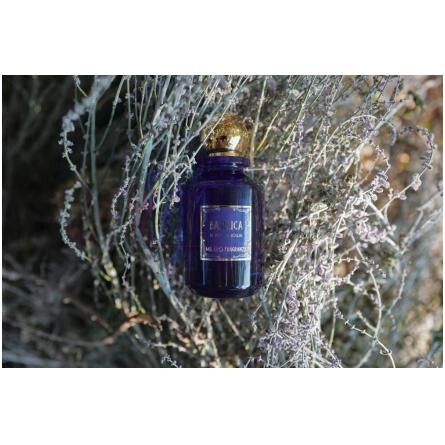 Basilica-میلان فرگرنزی باسیلیکا