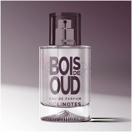 Bois de Oud-سولینوتس بویس دی عود