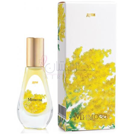 Mimoza-دیلیس پارفوم میوزا